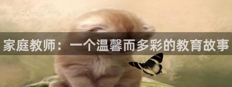 51漫画成人app下载