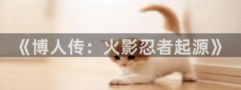 51漫画网站免费入口：《博人传：火影忍者起源》